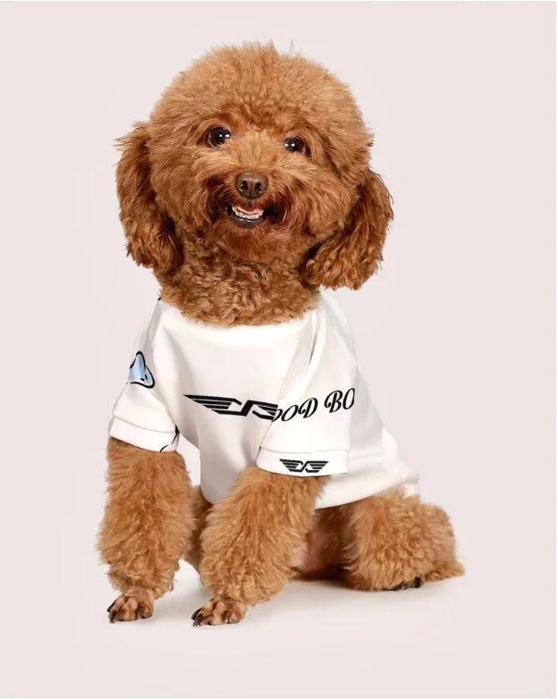 Small dog wearing Starling World Dog T-shirt, side view