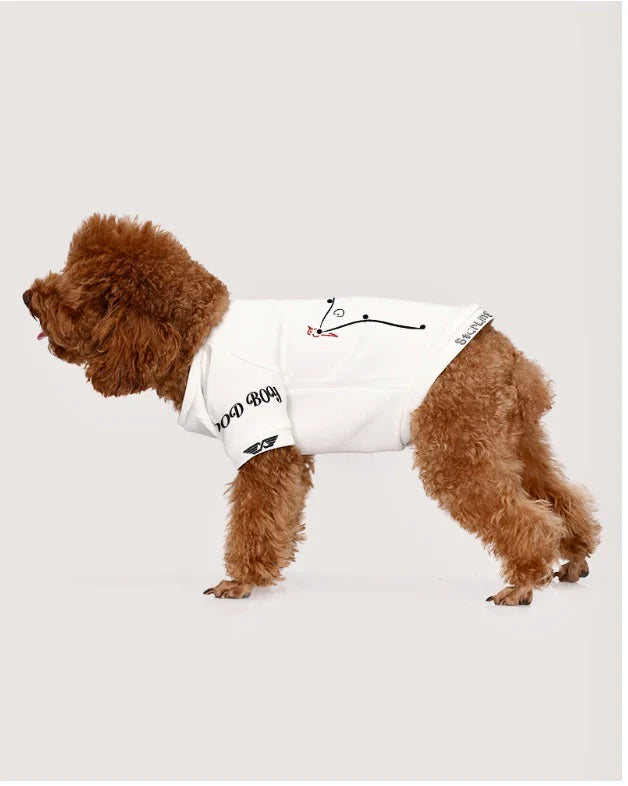 Small dog wearing Starling World Dog T-shirt