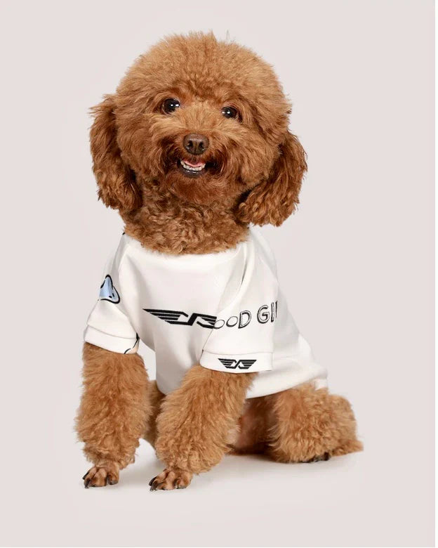Small dog wearing white Starling World 'good boy' Dog T-shirt, front view