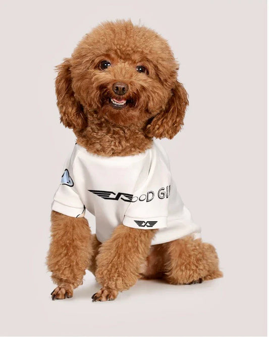 Small dog wearing white Starling World 'good boy' Dog T-shirt, front view