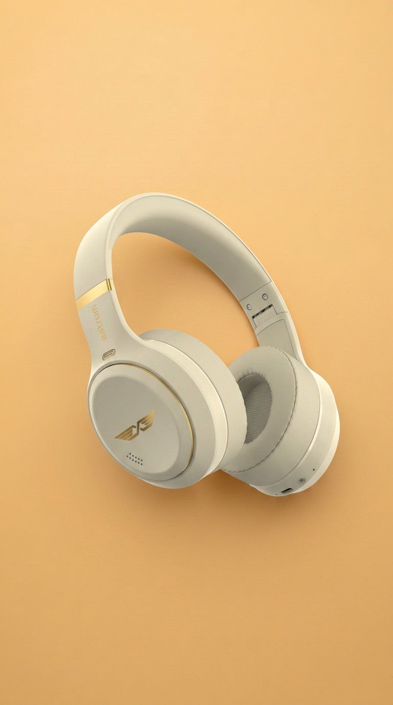 Music Accessories